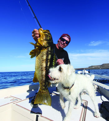 A Guide's Guide to San Clemente Island – Pacific Coast Sportfishing Magazine