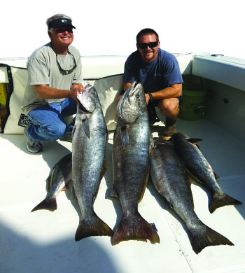 Chasing Ghosts on Fin Bait with Mackerel in the Tank, Treat