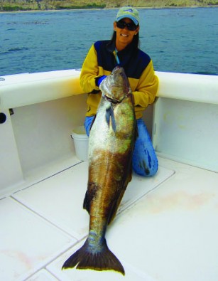 LE BLOGUE DU PÊCHEUR - Mastering Walleye Fishing: Essential Gear and  Techniques from Boutique l'Archerot - Boutique L'Archerot