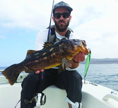 Fishing Hard Baits for Calico Bass