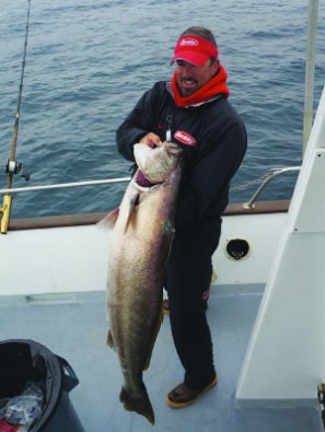 Chasing Ghosts on Fin Bait with Mackerel in the Tank, Treat Seabass to Ham  & Eggs – Pacific Coast Sportfishing Magazine