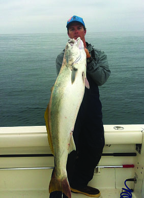 Chasing Ghosts on Fin Bait with Mackerel in the Tank, Treat Seabass to Ham  & Eggs – Pacific Coast Sportfishing Magazine