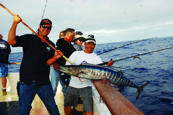 Billfish Report on X: Catalina Island, CA - Bad Company caught a surface  Swordfish.  / X