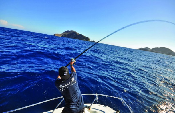 Awesome Bluefin and Yellowtail Fishing!! San Diego Non stop Action! WET  THAT LINE 