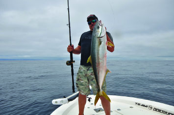 5 Reasons Fishing for Yellowtail from Shore is Possible