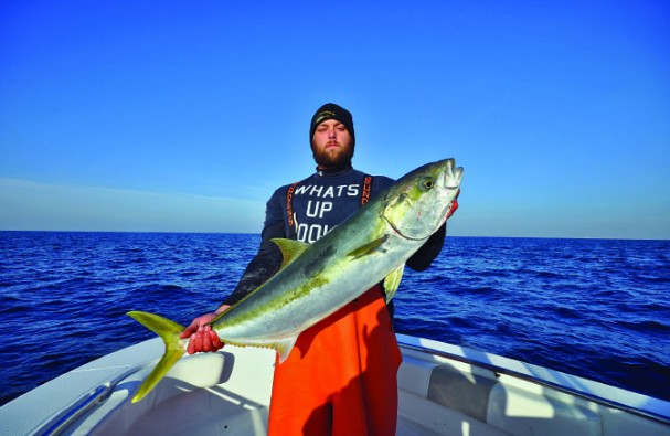 California Yellowtail - Pier Fishing in California