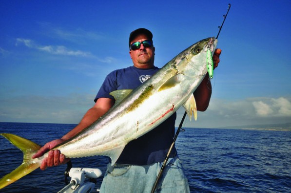 California Yellowtail - Pier Fishing in California